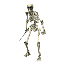 Shield Skeleton