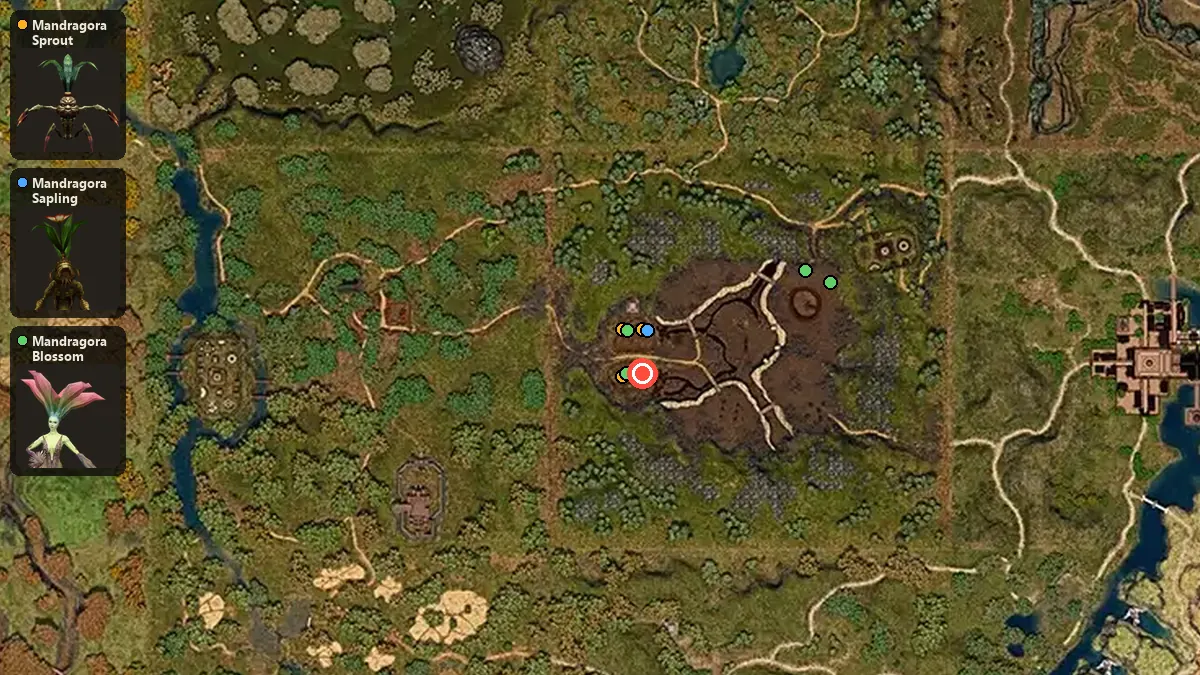 Карта: где стоят Mandragora Sprout, Mandragora Sapling, Mandragora Blossom