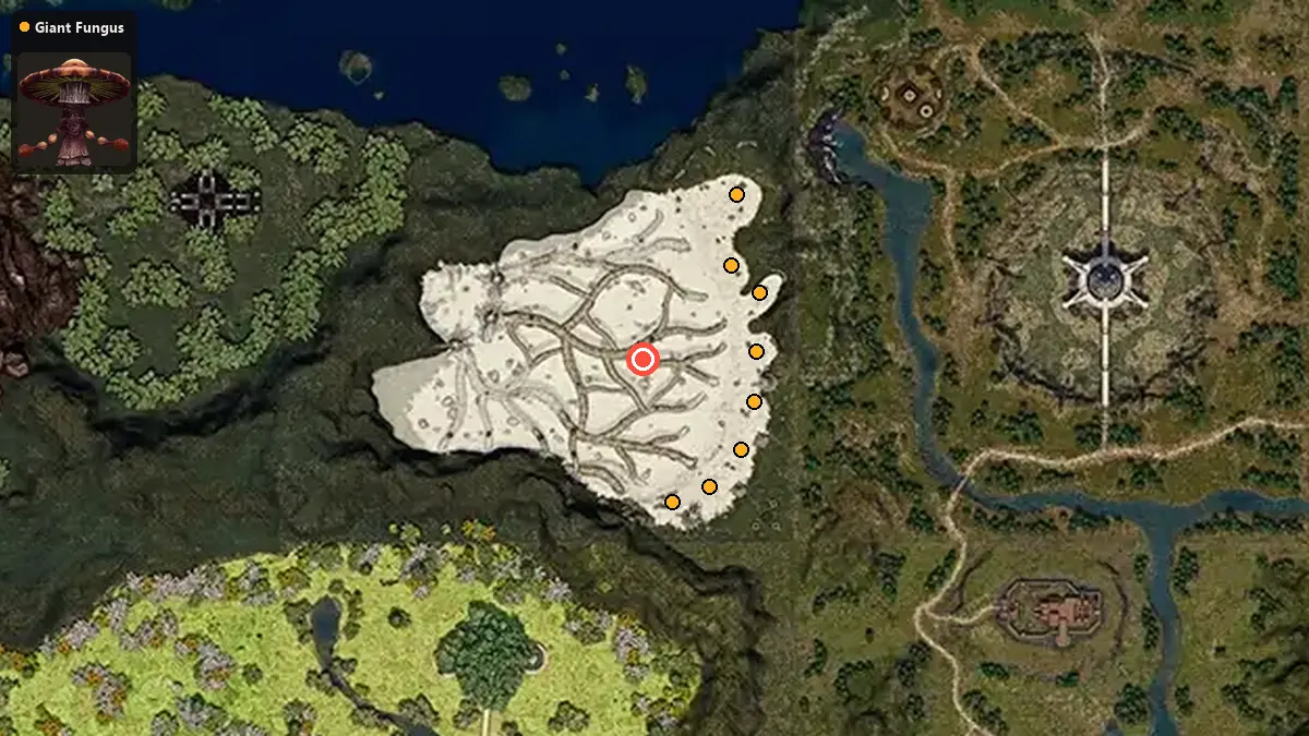 Карта: где стоят Giant Fungus