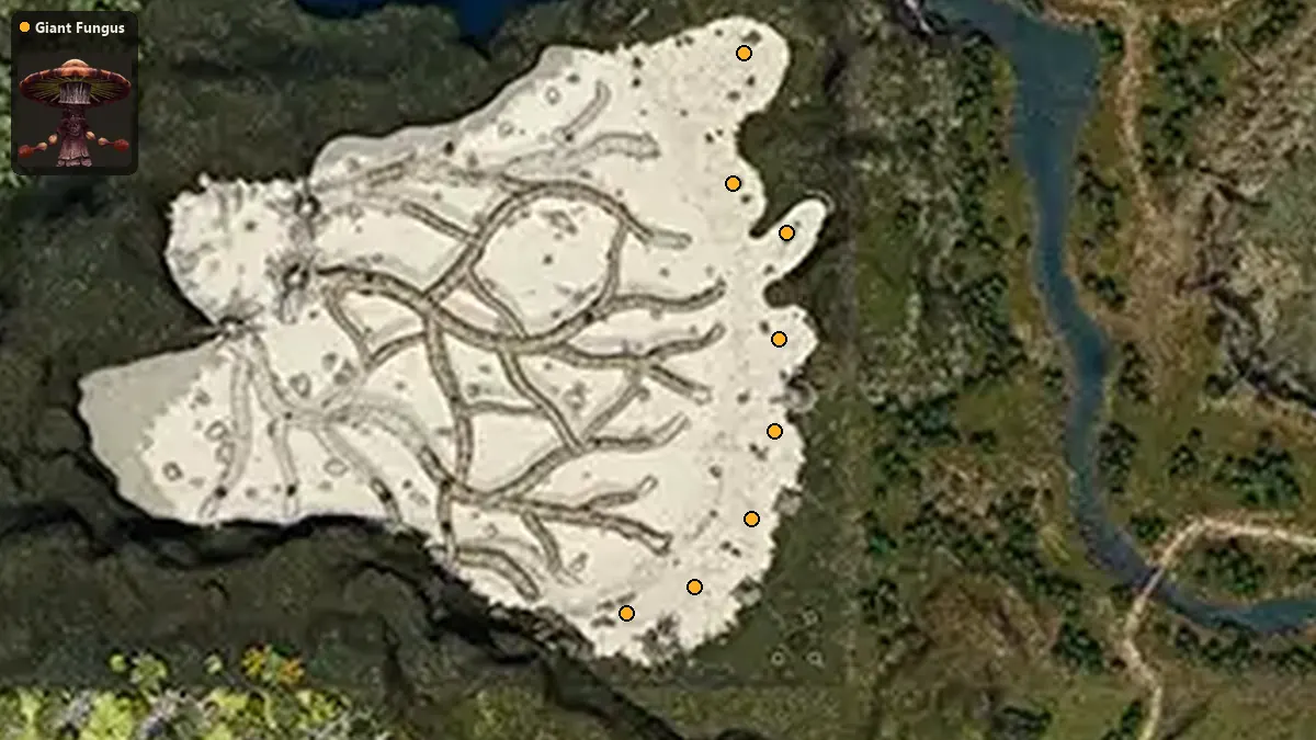 Карта: где стоят Giant Fungus
