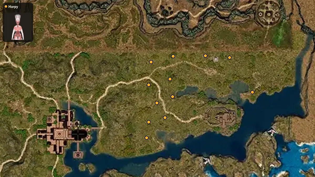 Map: where Harpy spawn