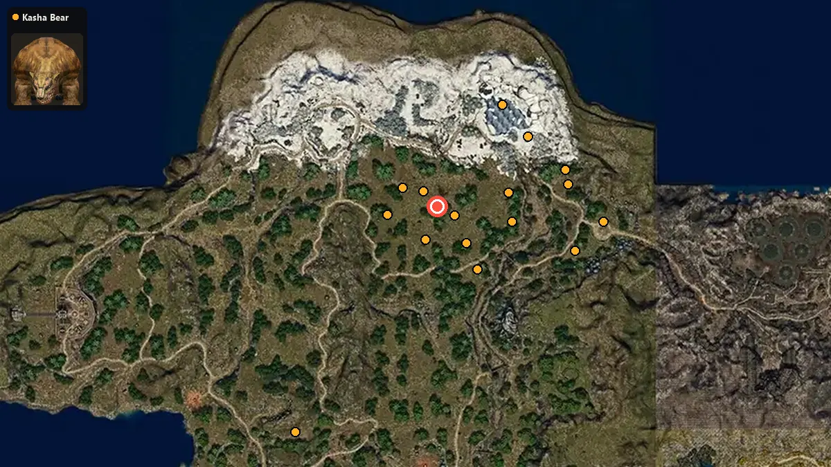 Map: where Kasha Bear spawn