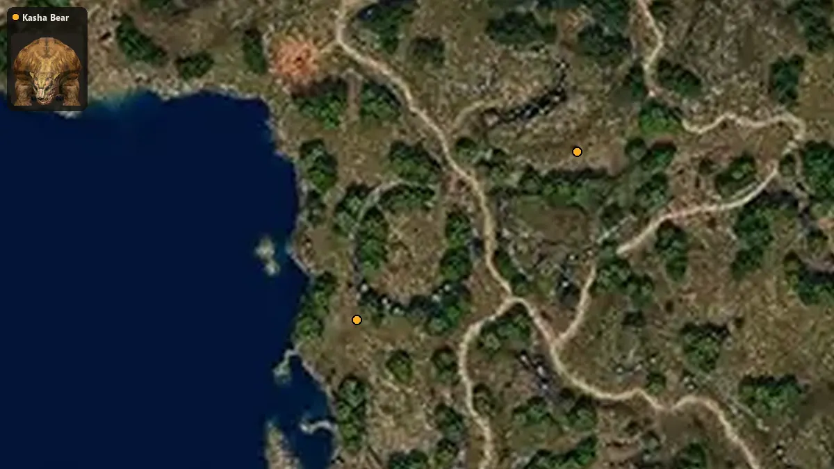 Map: where Kasha Bear spawn