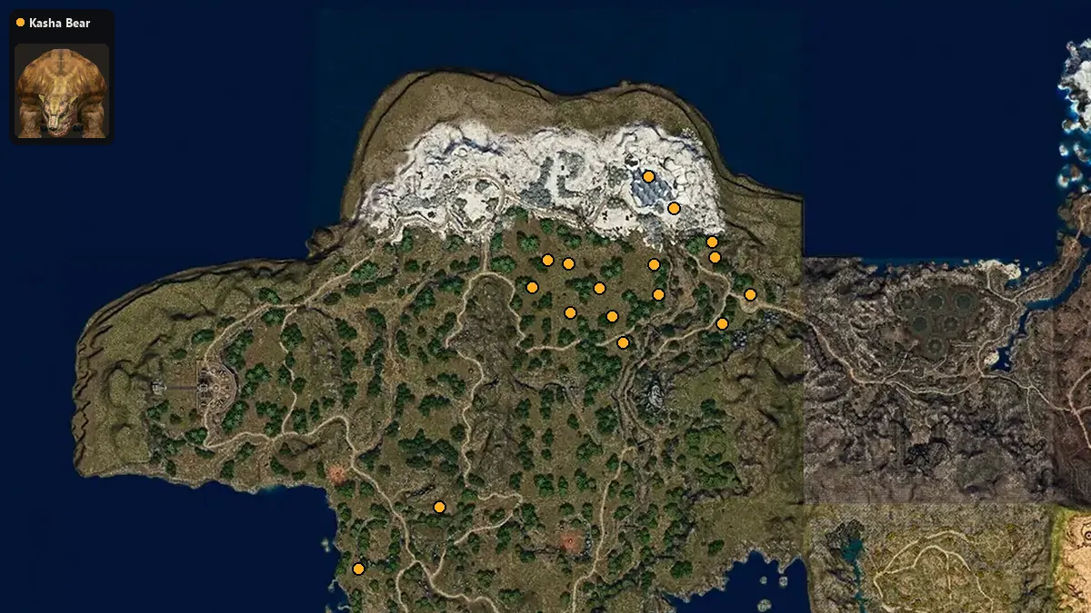 Map: where Kasha Bear spawn