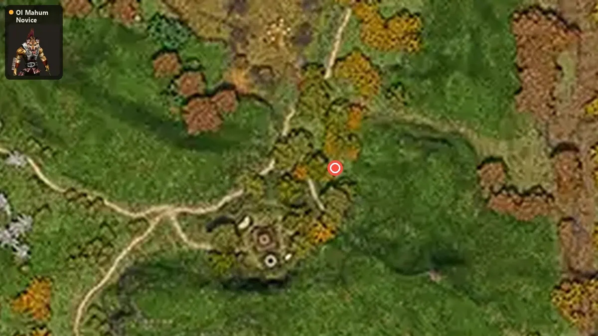 Map: where Ol Mahum Novice spawn