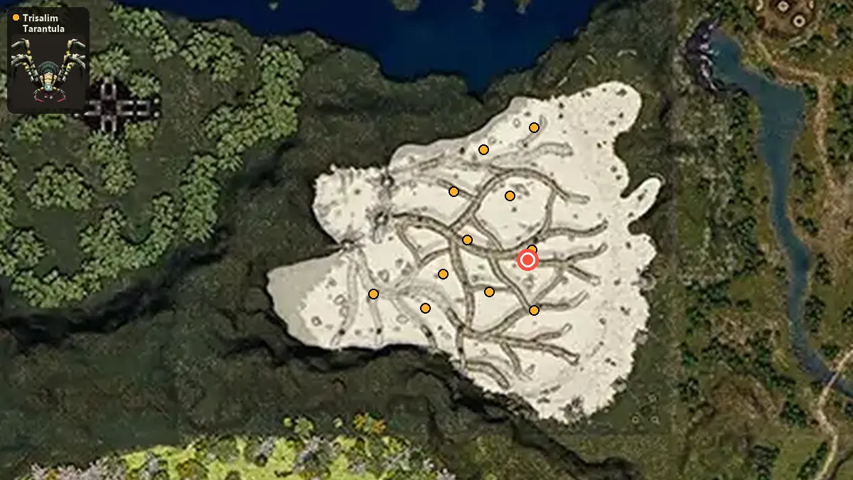 Map: where Trisalim Tarantula spawn