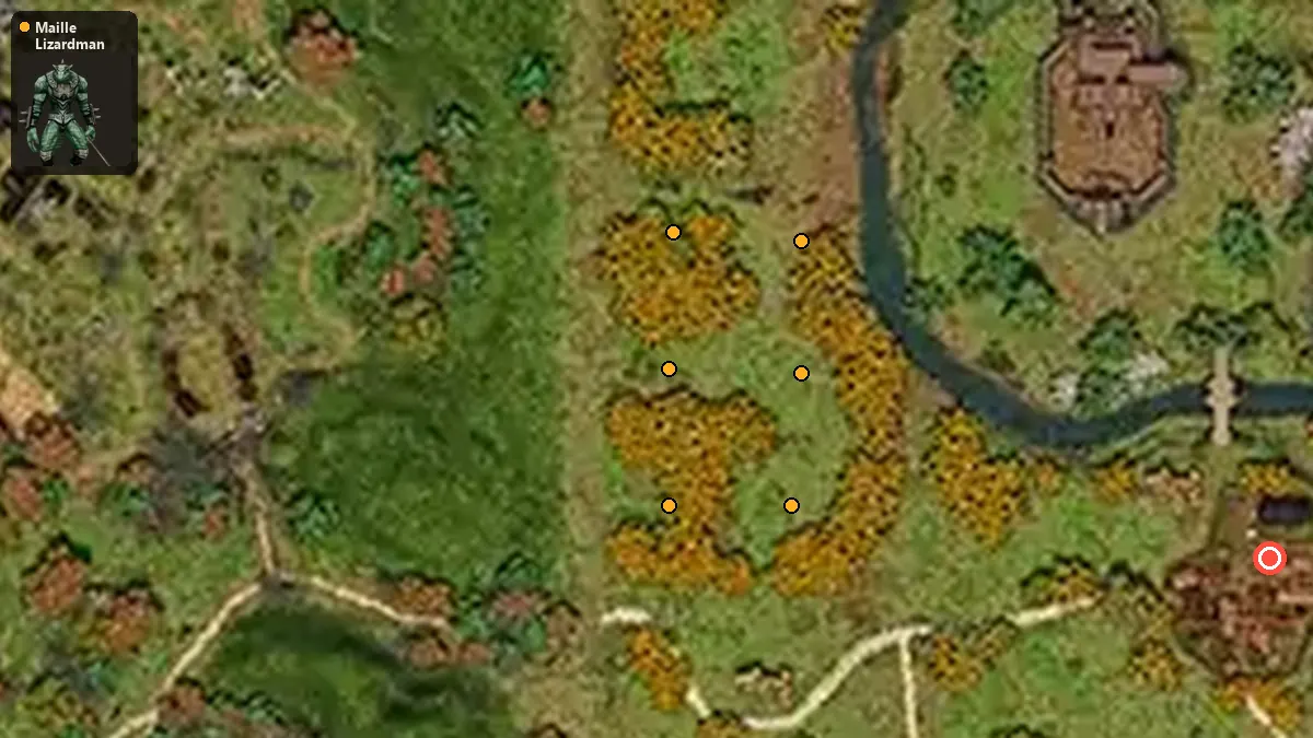 Map: where Maille Lizardman spawn