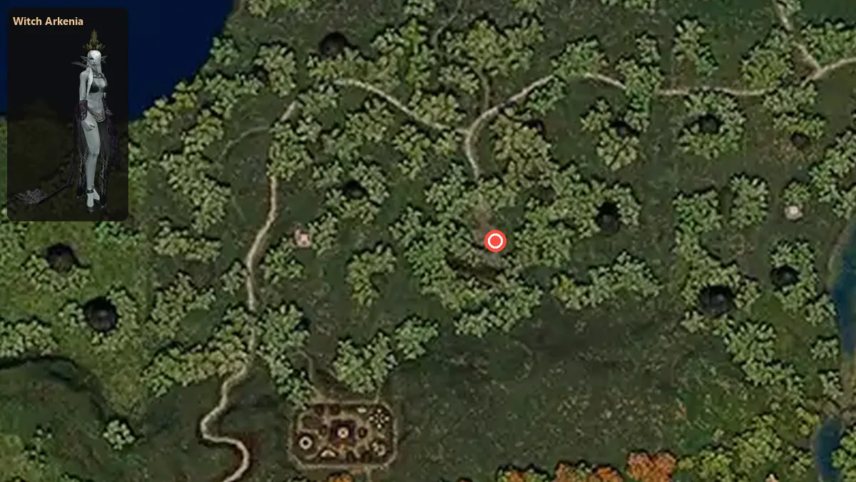 Map: where Witch Arkenia stands