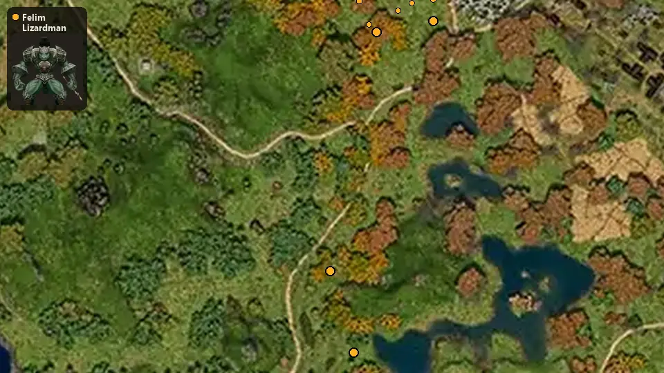 Map: where Felim Lizardman Warrior spawn