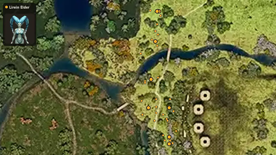 Map: where Lirein Elder spawn