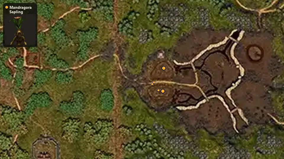 Карта: где стоят Mandragora Sapling