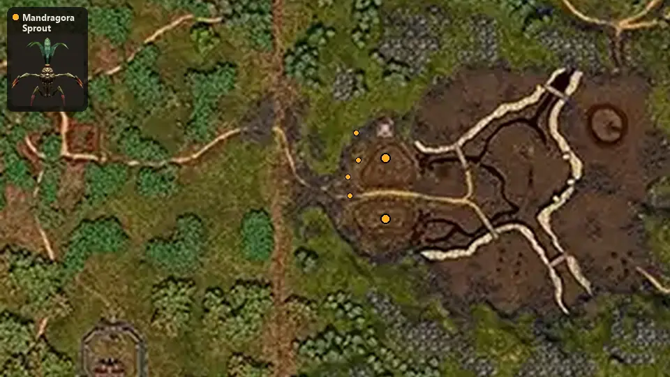 Map: where Mandragora Sprout spawn