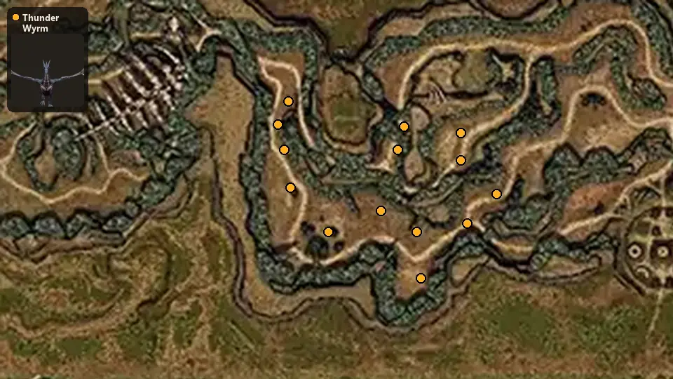 Карта: где стоят Thunder Wyrm