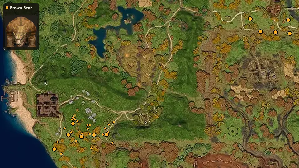 Карта: где стоят Brown Bear