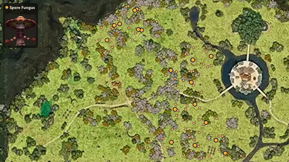 Карта: где стоят Spore Fungus