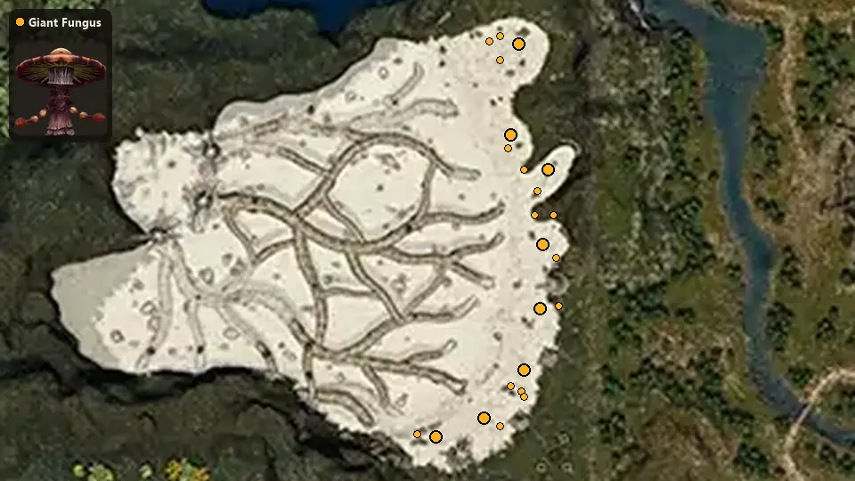 Карта: где стоят Giant Fungus