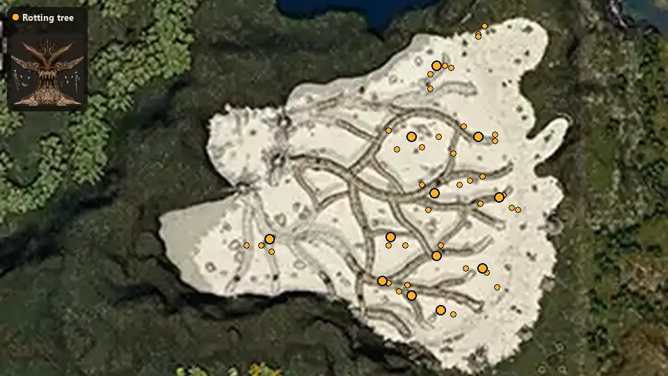 Map: where Rotting tree spawn