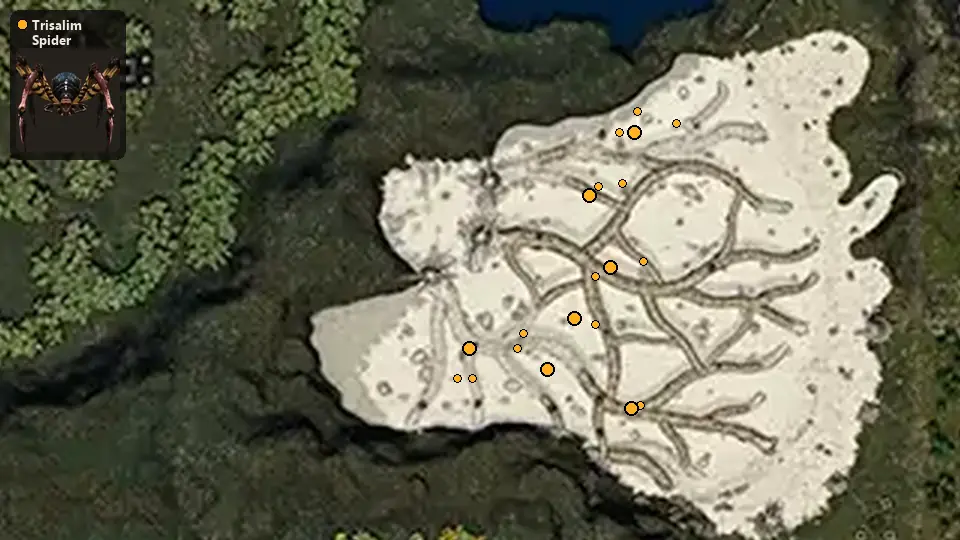 Map: where Trisalim Spider spawn