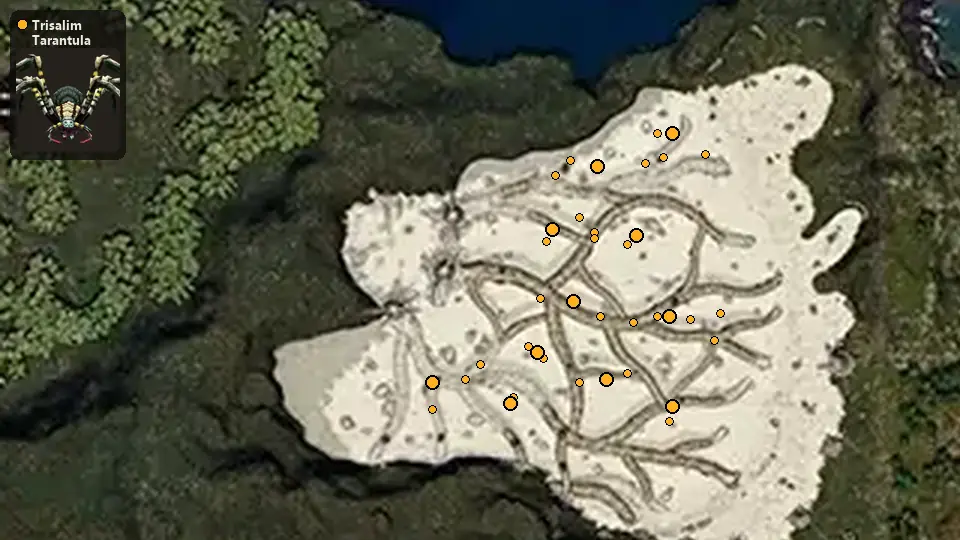 Карта: где стоят Trisalim Tarantula