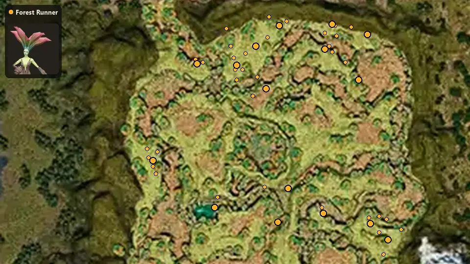 Карта: где стоят Forest Runner