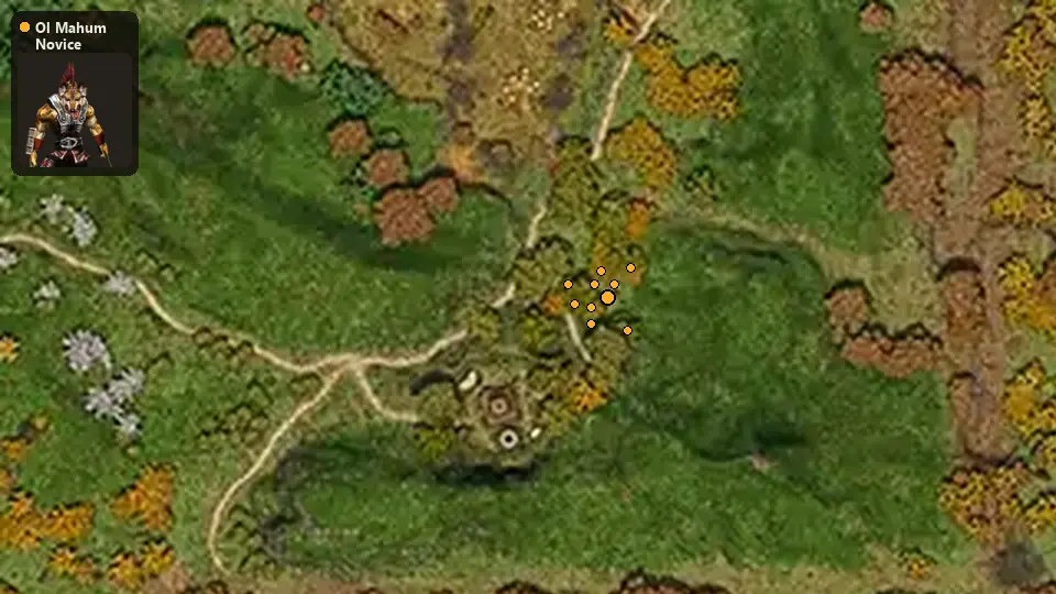 Map: where Ol Mahum Novice spawn