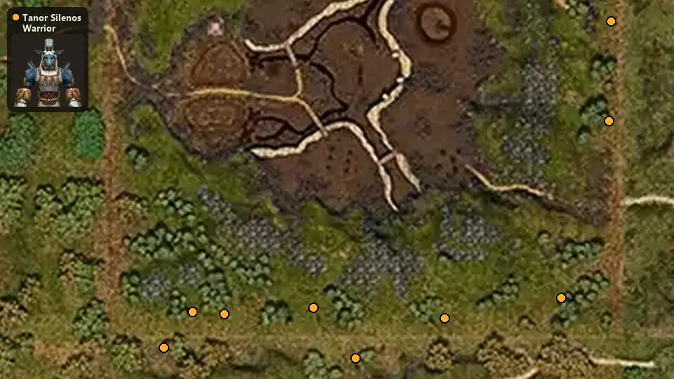 Карта: где стоят Tanor Silenos Warrior