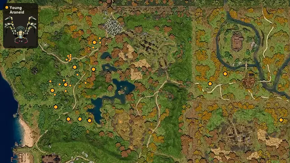 Map: where Young Araneid spawn
