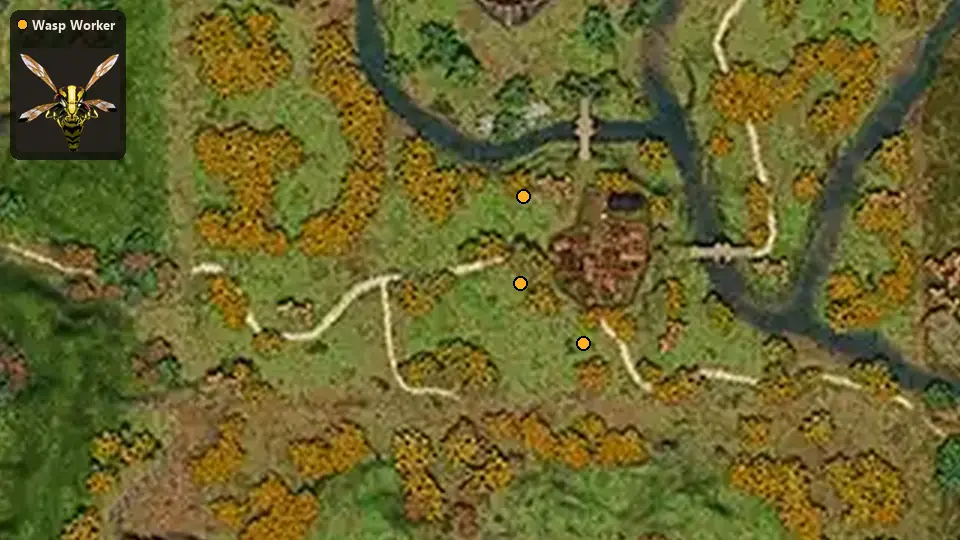 Map: where Wasp Worker spawn